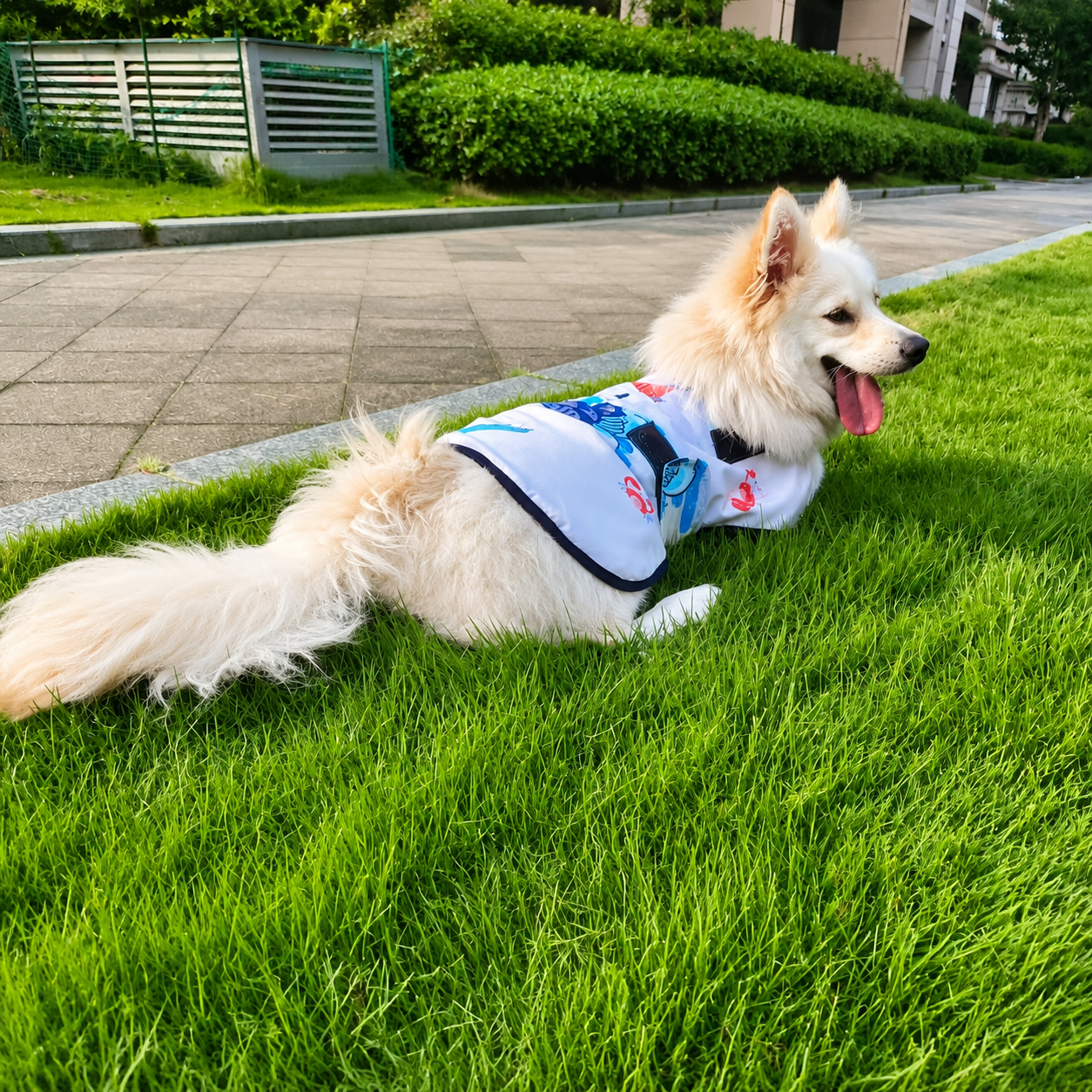 Printed two-layer PVA dog cooling coat on grass
