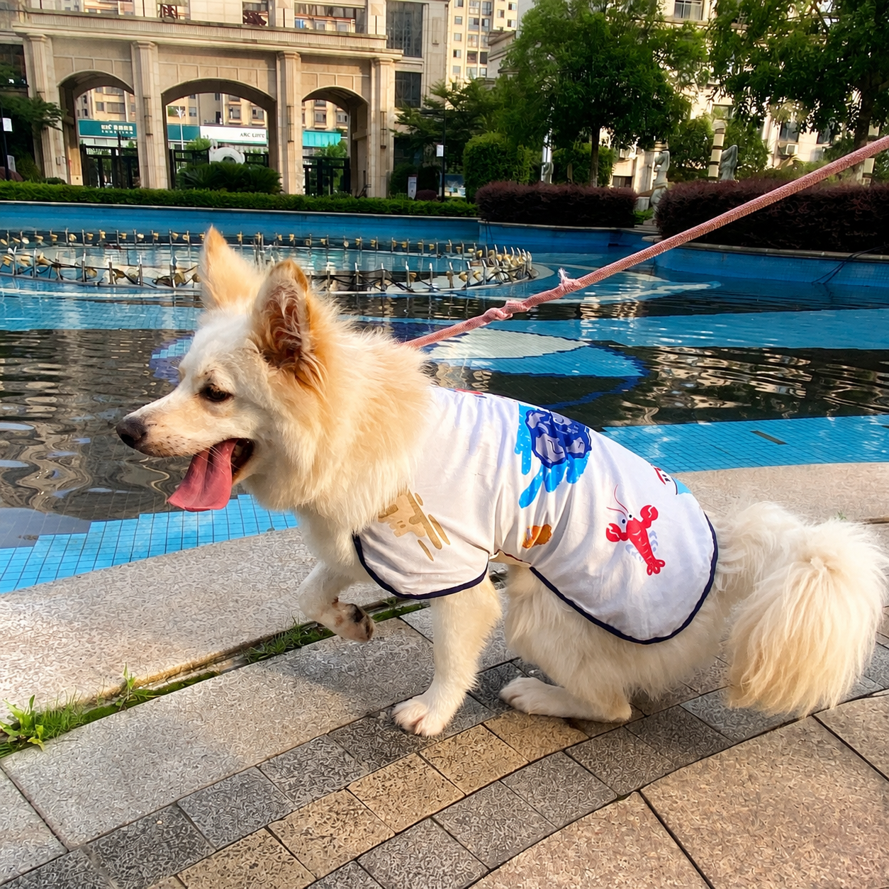 Dog wearing printed PVA cooling coat outdoors